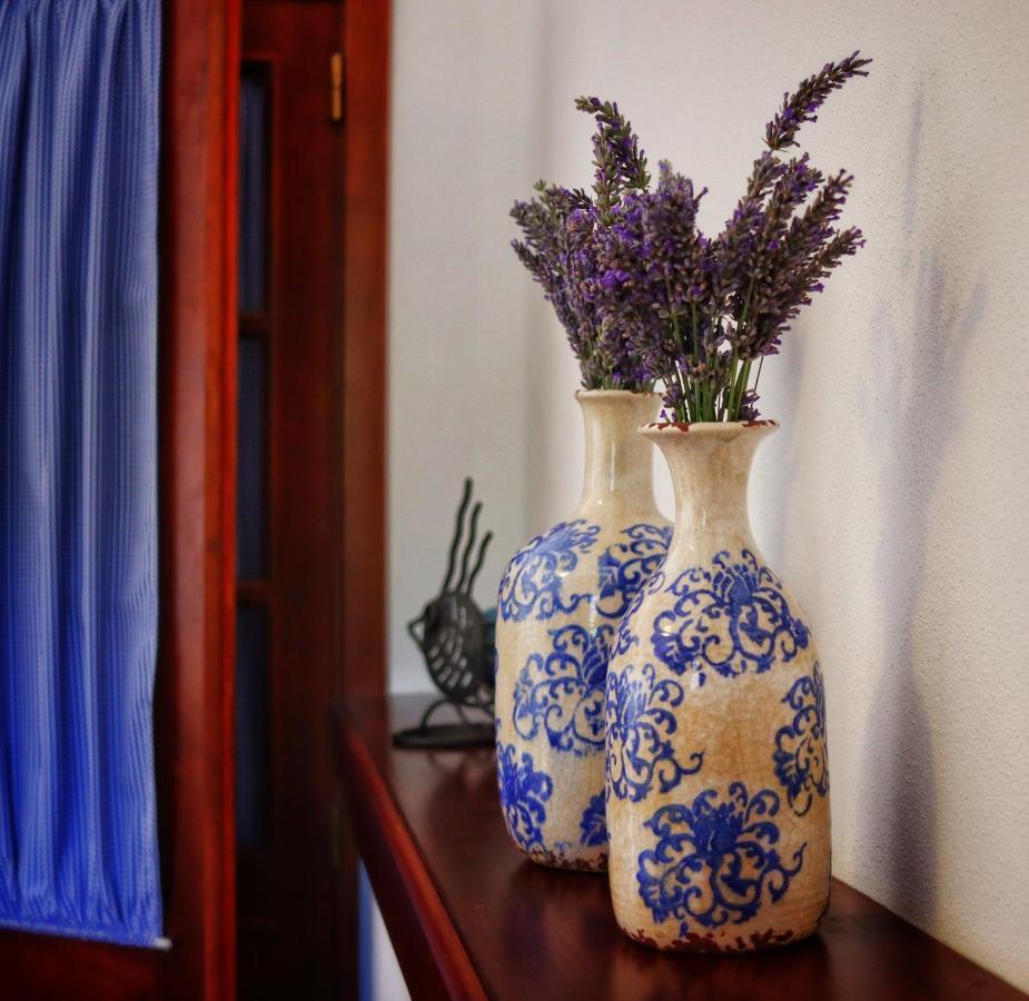 Quinta Do Regalo Villa Coimbra Bagian luar foto