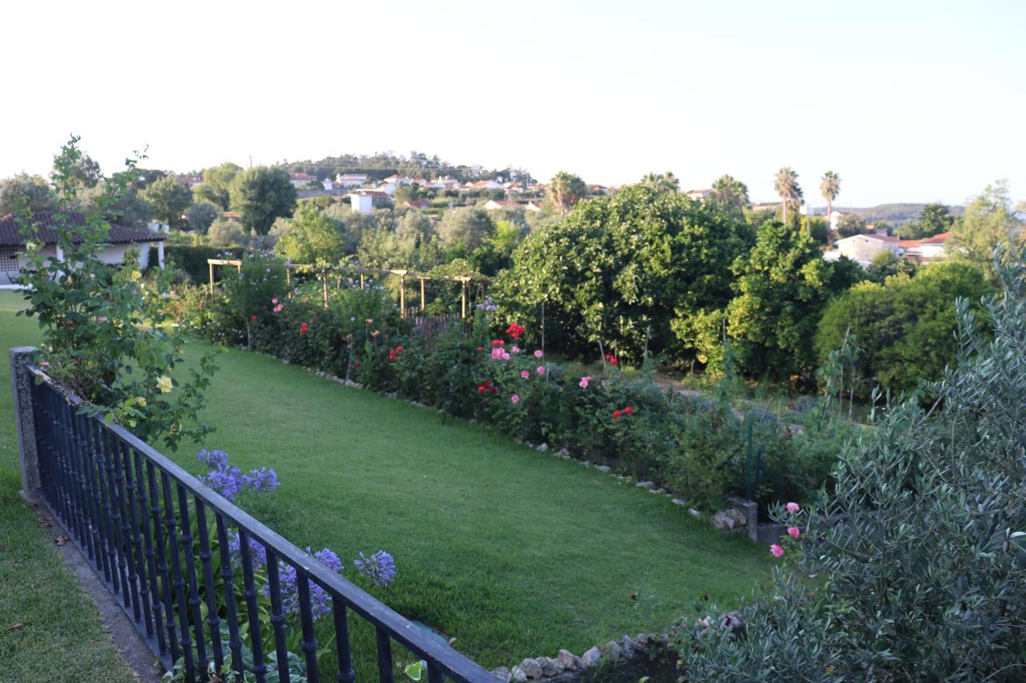Quinta Do Regalo Villa Coimbra Bagian luar foto