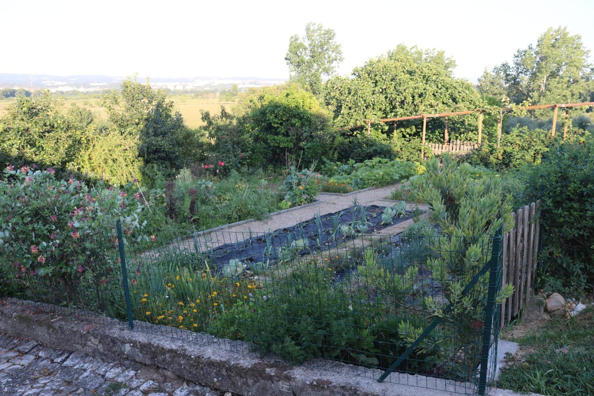 Quinta Do Regalo Villa Coimbra Bagian luar foto